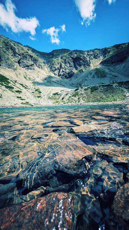 gallery grid image