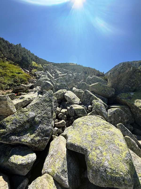 gallery grid image